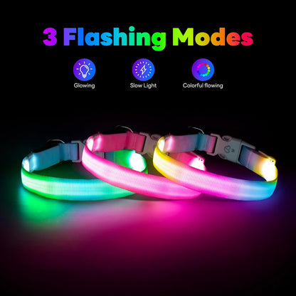 LED Dog Collar, Light Up Dog Collar with RGB Macaron Lighting Mode, Glow in the Dark Dog Collar, Type-C Rechargeable, Waterproof, Super Bright TPU, Battery Display for Small Medium Large Dogs