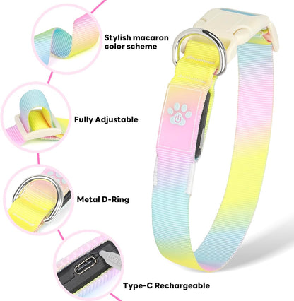 LED Dog Collar, Light Up Dog Collar with RGB Macaron Lighting Mode, Glow in the Dark Dog Collar, Type-C Rechargeable, Waterproof, Super Bright TPU, Battery Display for Small Medium Large Dogs