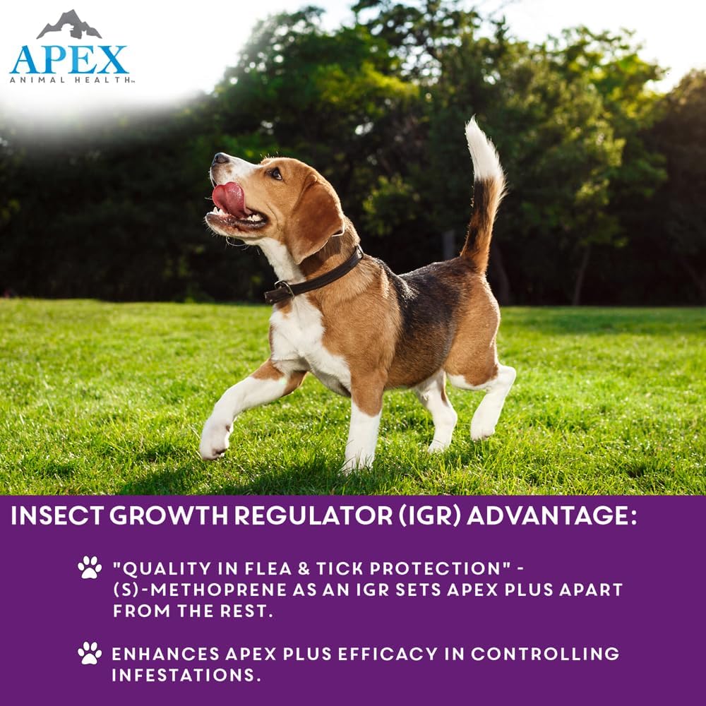 Apex Plus Flea & Tick Prevention for Small Dogs (5-22 lbs) 3-Month Supply