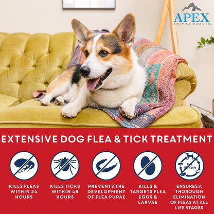 Apex Plus Flea & Tick Prevention for Small Dogs (5-22 lbs) 3-Month Supply