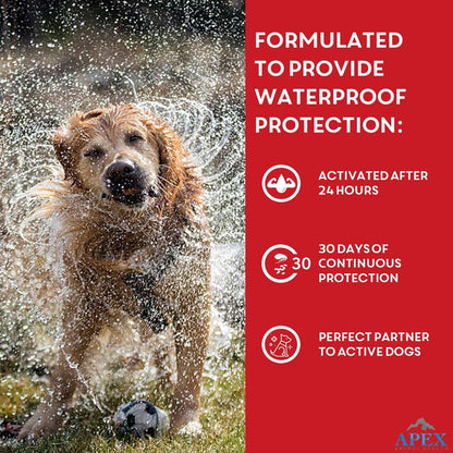 Apex Plus Flea & Tick Prevention for Small Dogs (5-22 lbs) 3-Month Supply