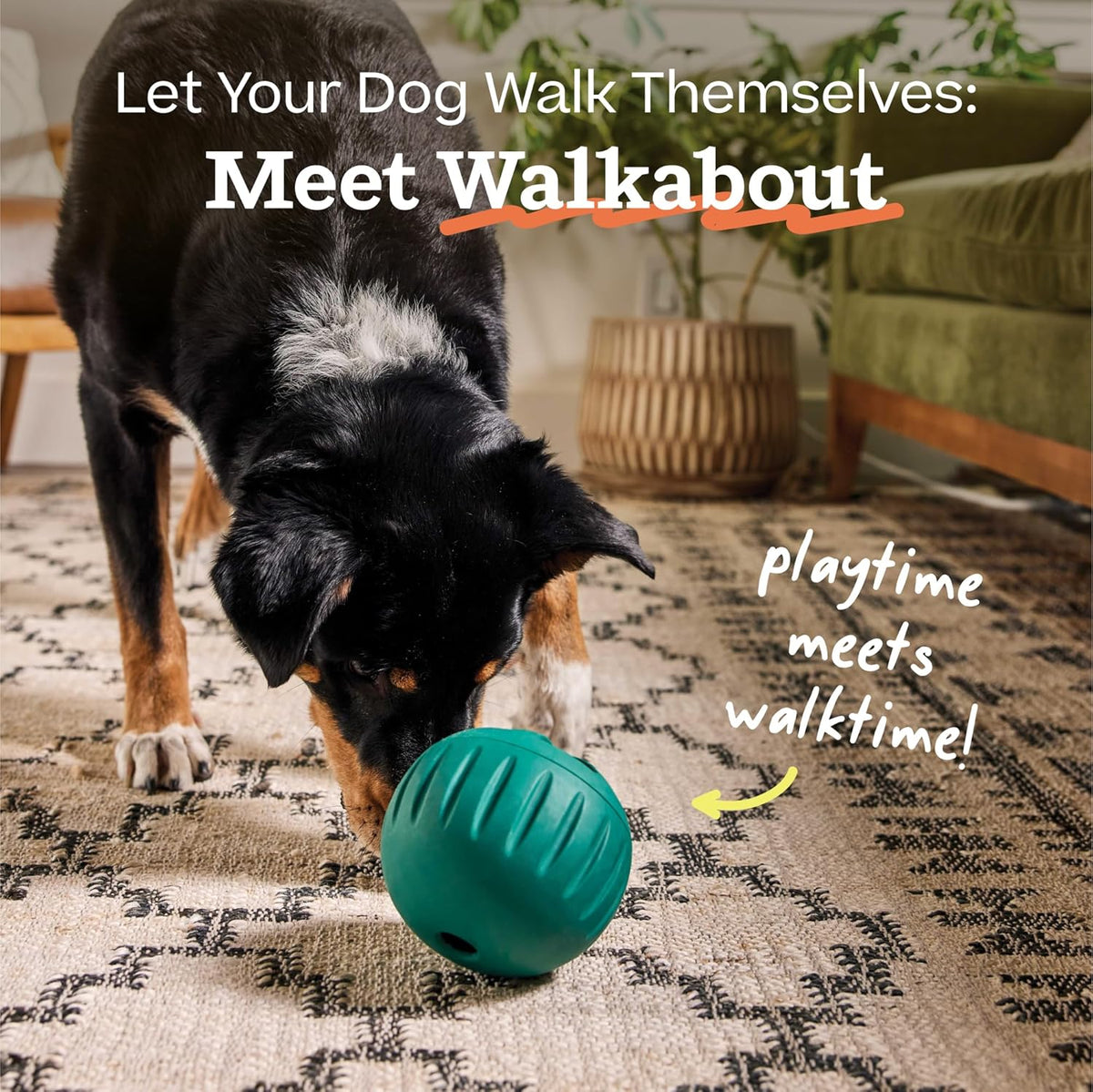 Walkabout Dog Puzzle Slow Feeder Toy for Dogs Under 40 lbs