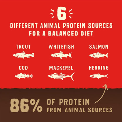 Wild Red Dry Dog Food Raw Coated High Protein Grain & Legume Free Red Meat Recipe, 3.5 lb. Bag