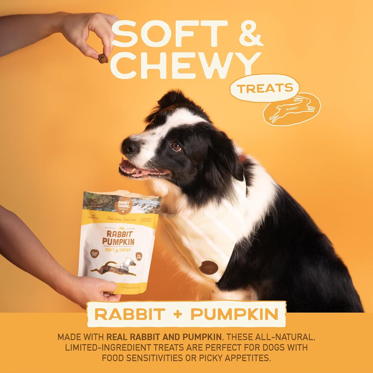 Smart Cookie Healthy Soft Dog Treats - Rabbit & Pumpkin - Grain Free Limited Ingredient Training Treats for Dogs with Sensitive Stomach & Allergies, Natural Novel Protein, Made in the USA (5oz.)
