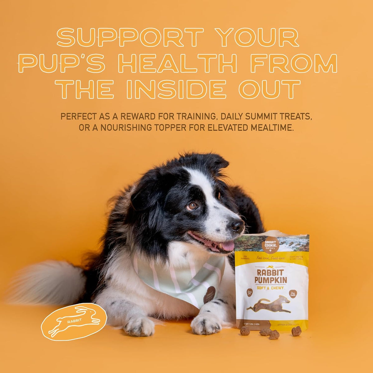 Smart Cookie Healthy Soft Dog Treats - Rabbit & Pumpkin - Grain Free Limited Ingredient Training Treats for Dogs with Sensitive Stomach & Allergies, Natural Novel Protein, Made in the USA (5oz.)