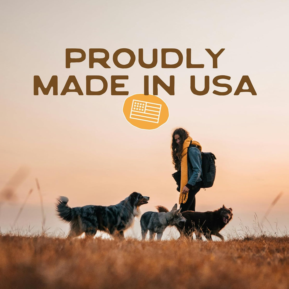 Smart Cookie Healthy Soft Dog Treats - Rabbit & Pumpkin - Grain Free Limited Ingredient Training Treats for Dogs with Sensitive Stomach & Allergies, Natural Novel Protein, Made in the USA (5oz.)
