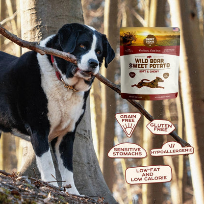 Smart Cookie Healthy Soft Dog Treats - Rabbit & Pumpkin - Grain Free Limited Ingredient Training Treats for Dogs with Sensitive Stomach & Allergies, Natural Novel Protein, Made in the USA (5oz.)