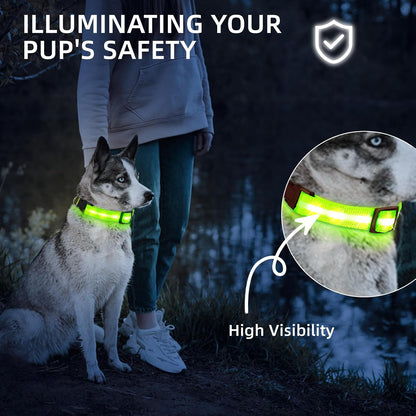 Super Bright LED Dog Collar, Waterproof Light up Collars(Green, Medium)