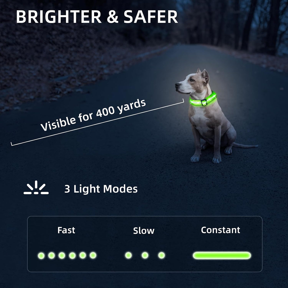 Super Bright LED Dog Collar, Waterproof Light up Collars(Green, Medium)