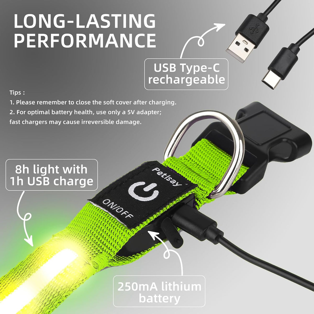 Super Bright LED Dog Collar, Waterproof Light up Collars(Green, Medium)