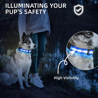 Super Bright LED Dog Collar, Waterproof Light up Collars(Green, Medium)