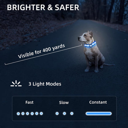 Super Bright LED Dog Collar, Waterproof Light up Collars(Green, Medium)