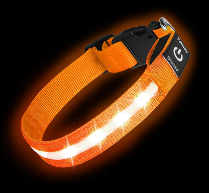 Super Bright LED Dog Collar, Waterproof Light up Collars(Green, Medium)