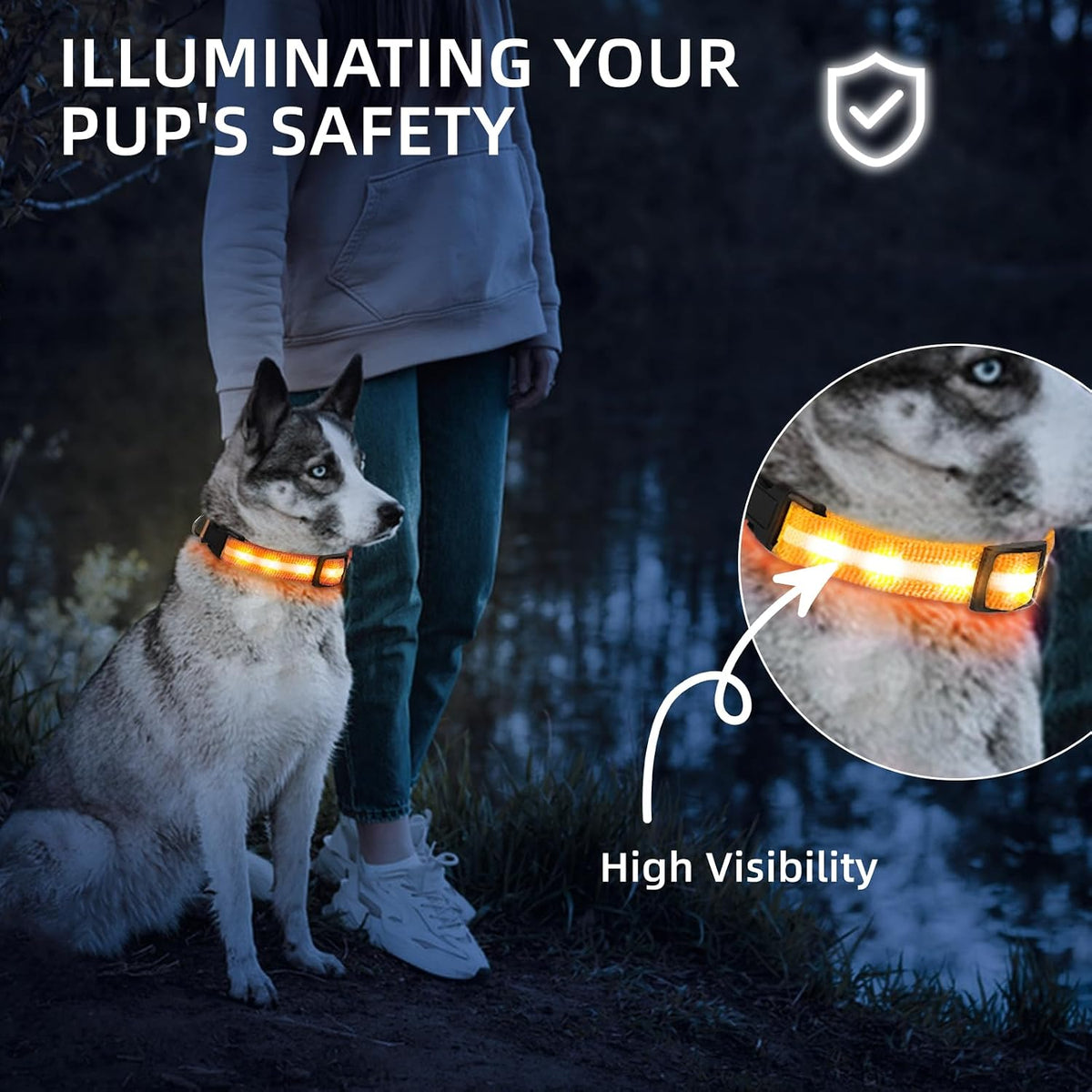 Super Bright LED Dog Collar, Waterproof Light up Collars(Green, Medium)
