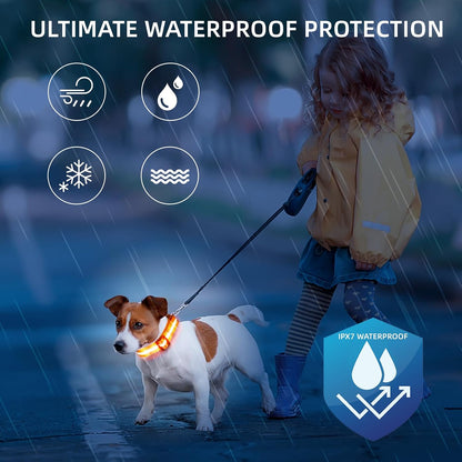 Super Bright LED Dog Collar, Waterproof Light up Collars(Green, Medium)