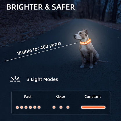 Super Bright LED Dog Collar, Waterproof Light up Collars(Green, Medium)