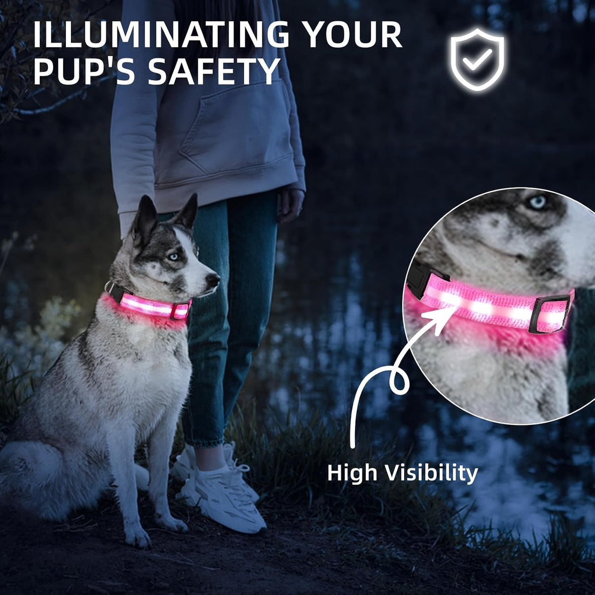 Super Bright LED Dog Collar, Waterproof Light up Collars(Green, Medium)