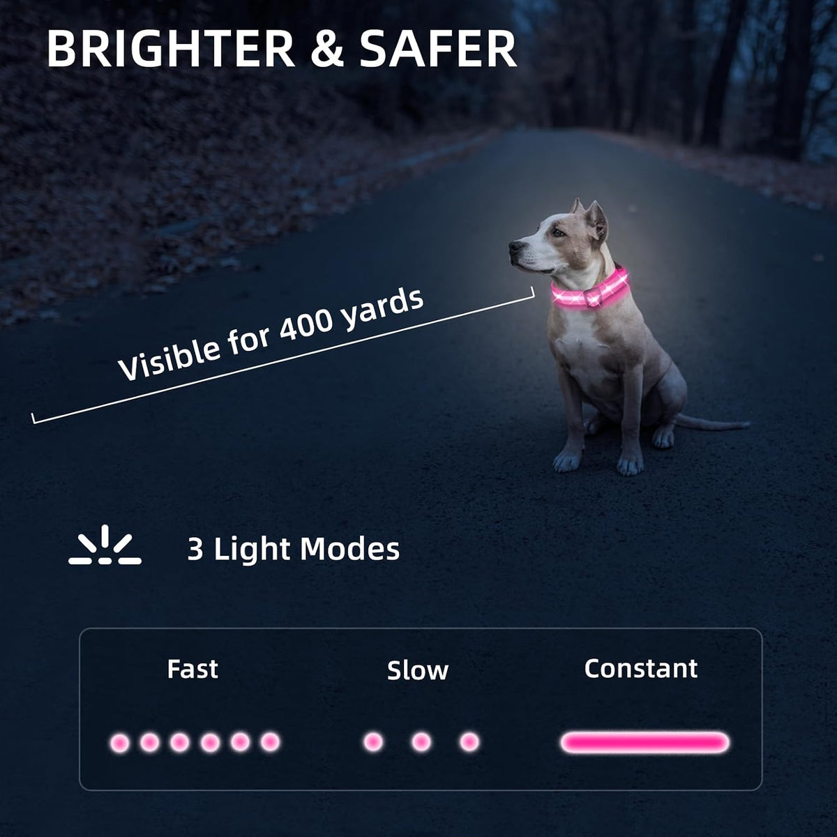 Super Bright LED Dog Collar, Waterproof Light up Collars(Green, Medium)