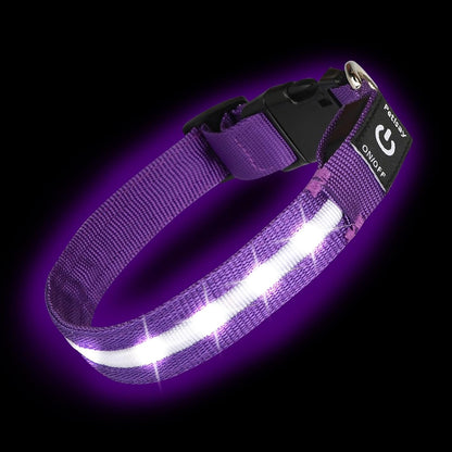 Super Bright LED Dog Collar, Waterproof Light up Collars(Green, Medium)