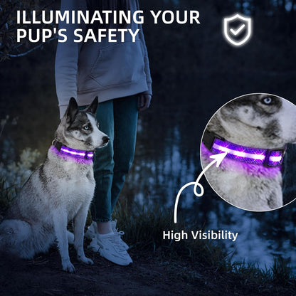 Super Bright LED Dog Collar, Waterproof Light up Collars(Green, Medium)
