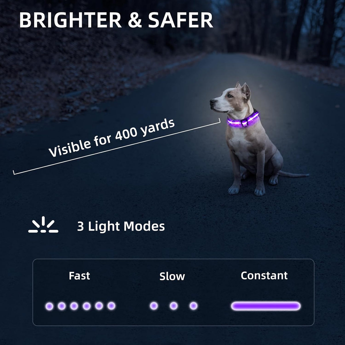 Super Bright LED Dog Collar, Waterproof Light up Collars(Green, Medium)