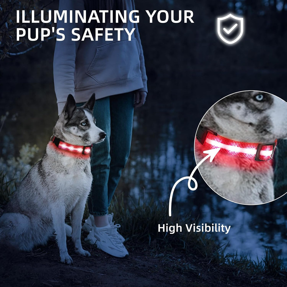 Super Bright LED Dog Collar, Waterproof Light up Collars(Green, Medium)