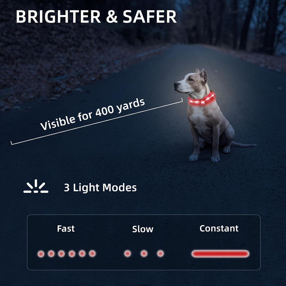 Super Bright LED Dog Collar, Waterproof Light up Collars(Green, Medium)