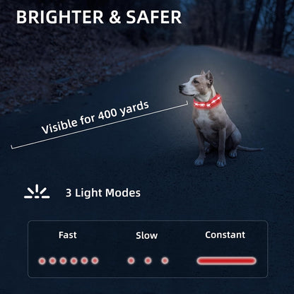 Super Bright LED Dog Collar, Waterproof Light up Collars(Green, Medium)