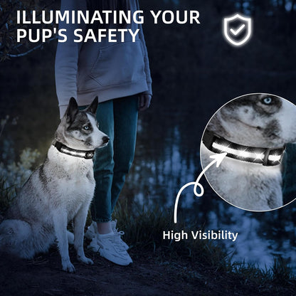 Super Bright LED Dog Collar, Waterproof Light up Collars(Green, Medium)