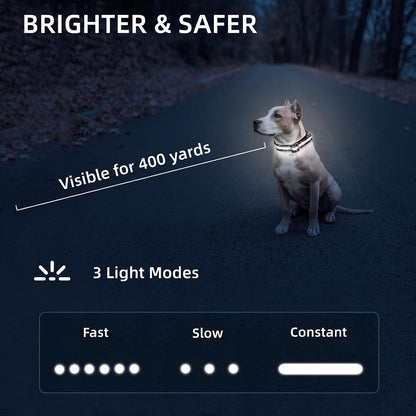 Super Bright LED Dog Collar, Waterproof Light up Collars(Green, Medium)