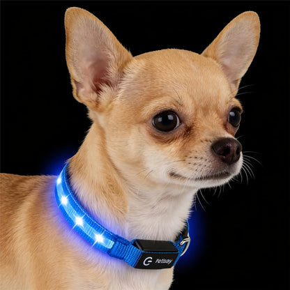 Super Bright LED Dog Collar, Waterproof Light up Collars(Green, Medium)