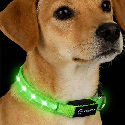 Super Bright LED Dog Collar, Waterproof Light up Collars(Green, Medium)