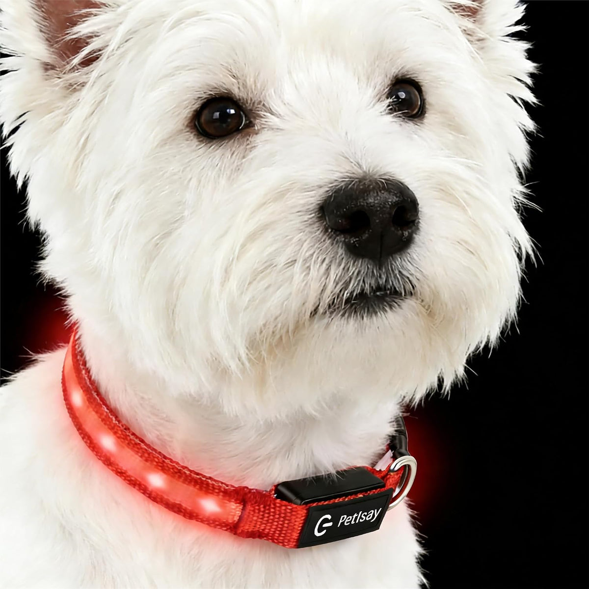 Super Bright LED Dog Collar, Waterproof Light up Collars(Green, Medium)