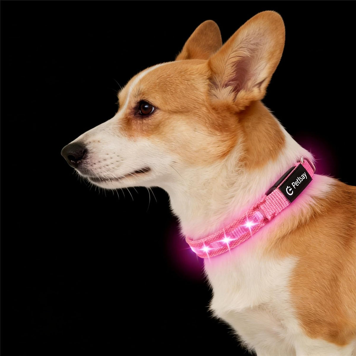 Super Bright LED Dog Collar, Waterproof Light up Collars(Green, Medium)