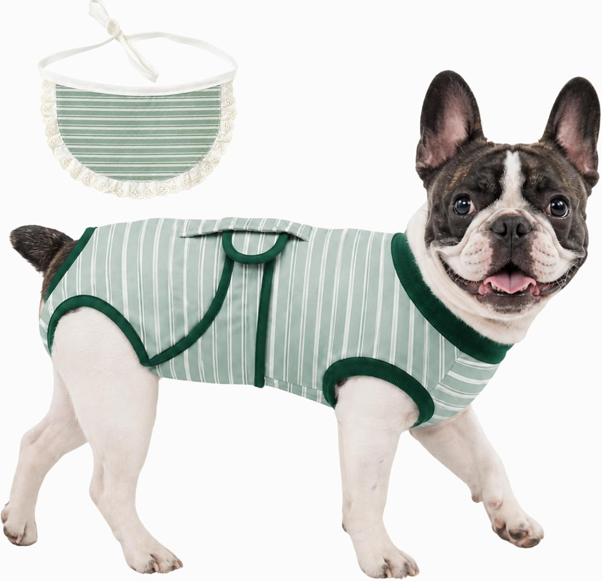Surgery Recovery Suit for Female Male Dog, Soft Onesie After Spay Neuter, S