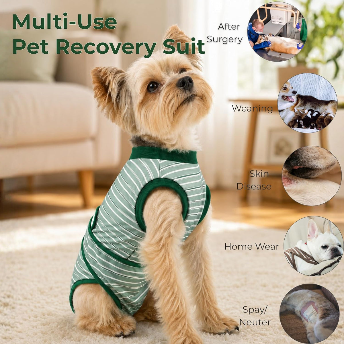 Surgery Recovery Suit for Female Male Dog, Soft Onesie After Spay Neuter, S