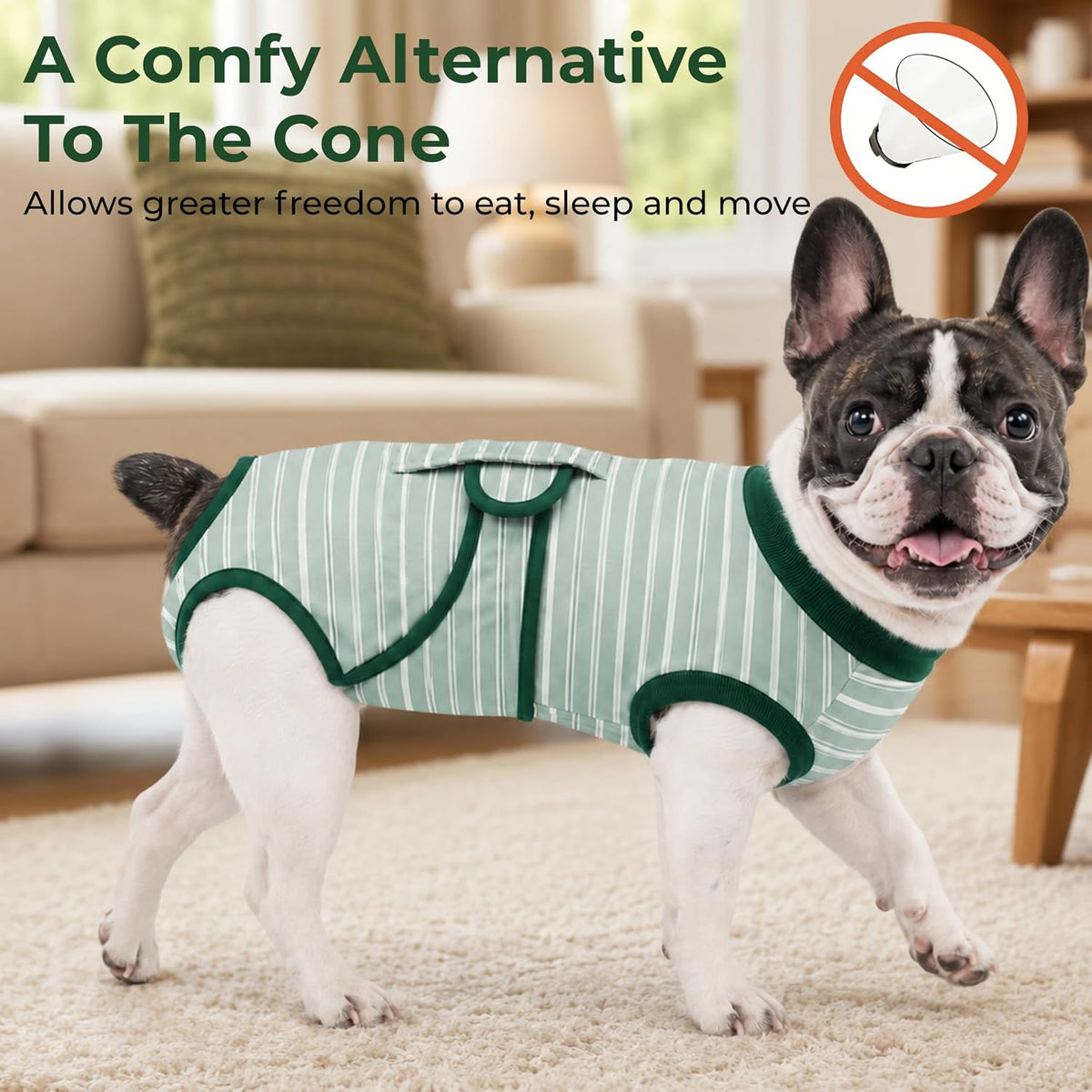 Surgery Recovery Suit for Female Male Dog, Soft Onesie After Spay Neuter, S