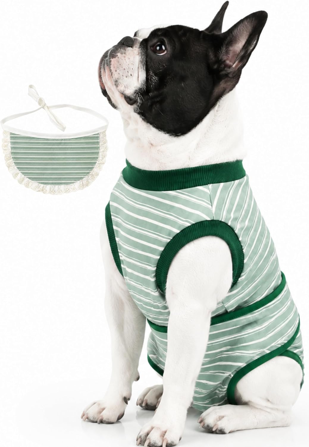 Surgery Recovery Suit for Female Male Dog, Soft Onesie After Spay Neuter, S