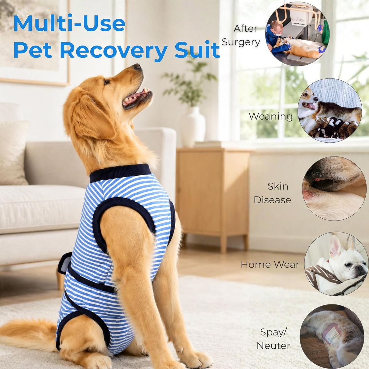 Surgery Recovery Suit for Female Male Dog, Soft Onesie After Spay Neuter, S