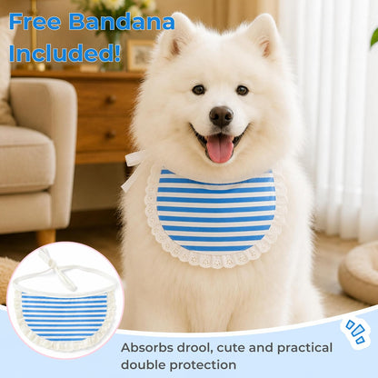 Surgery Recovery Suit for Female Male Dog, Soft Onesie After Spay Neuter, S