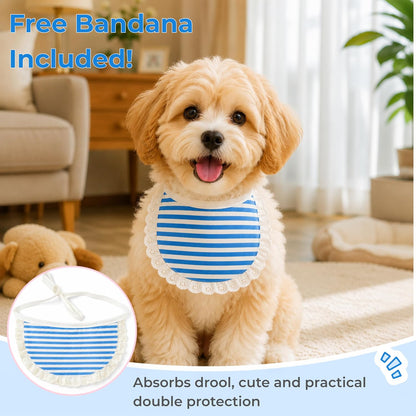 Surgery Recovery Suit for Female Male Dog, Soft Onesie After Spay Neuter, S