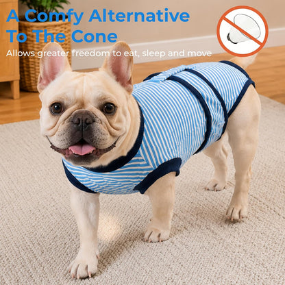 Surgery Recovery Suit for Female Male Dog, Soft Onesie After Spay Neuter, S