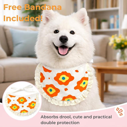Surgery Recovery Suit for Female Male Dog, Soft Onesie After Spay Neuter, S