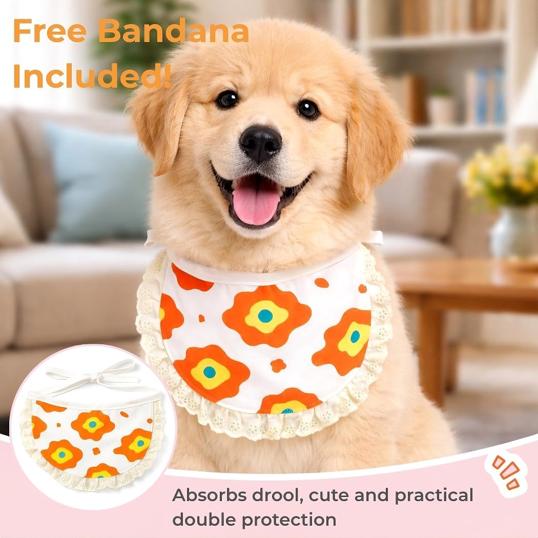 Surgery Recovery Suit for Female Male Dog, Soft Onesie After Spay Neuter, S