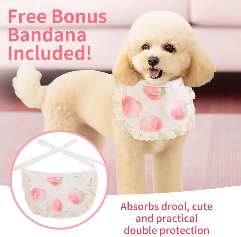 Surgery Recovery Suit for Female Male Dog, Soft Onesie After Spay Neuter, S