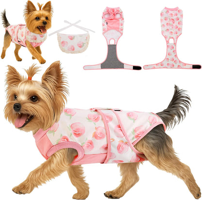 Surgery Recovery Suit for Female Male Dog, Soft Onesie After Spay Neuter, S