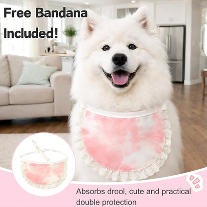 Surgery Recovery Suit for Female Male Dog, Soft Onesie After Spay Neuter, S