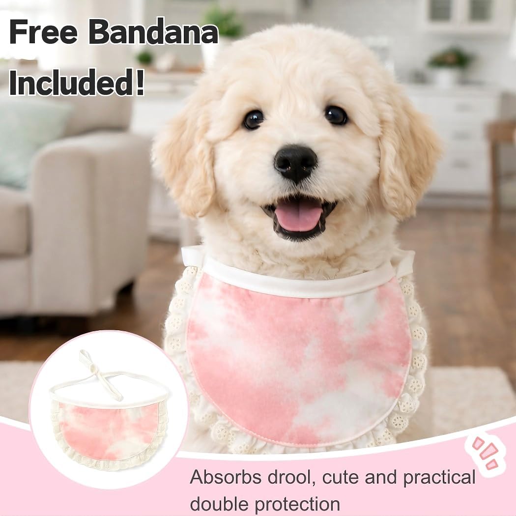 Surgery Recovery Suit for Female Male Dog, Soft Onesie After Spay Neuter, S