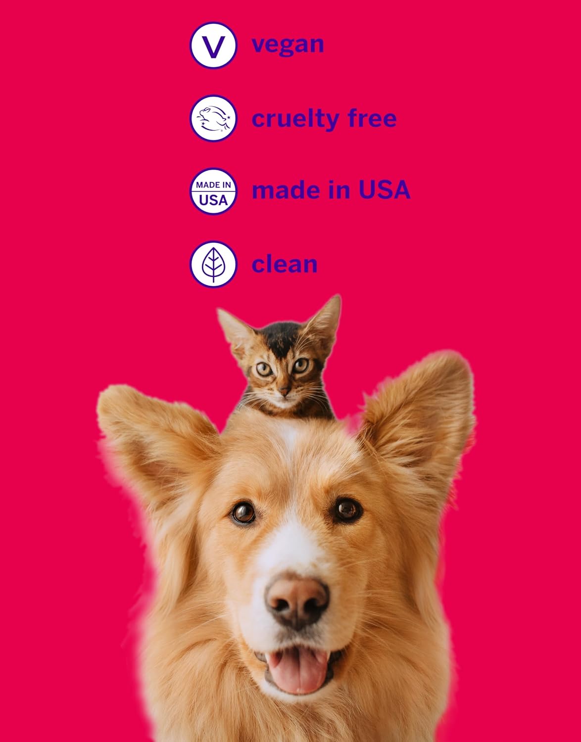 Pet Teeth Brushing Kit, Toothpaste + Brush, London Broil 2.5 Oz