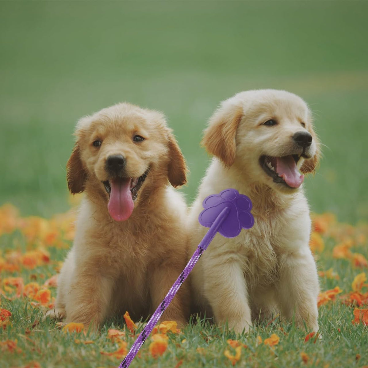 Dog Training Paw Shape Training Stick Tool for Puppy Exercise Flexible Pet for Obedience Bad Behavior Correction Interactive Indoor Outdoor Play 2 pcs